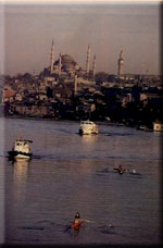 Hali/Golden horn