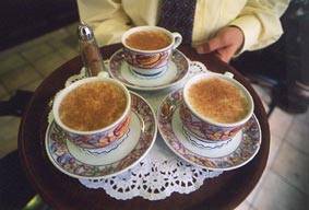 salep-1.jpg (11627 bytes)