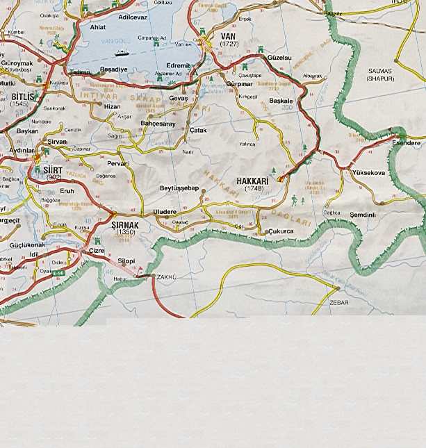 tr-s5.jpg (53824 bytes)