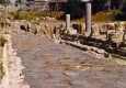 tarsus3_small.jpg (2364 bytes)