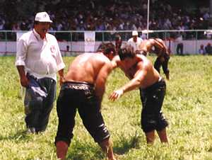 wrestling4_s.jpg (12921 bytes)